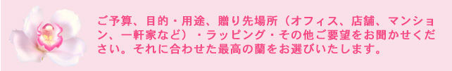 ご予算、目的・用途、贈り先場所（オフィス、店舗、マンション、一軒家など）・ラッピング・その他ご要望をお聞かせください。