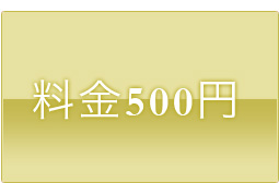 料金500円